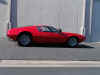 8132007RedGoose8.jpg (158280 bytes)