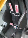 bgseat54.jpg (146796 bytes)